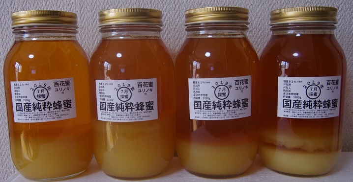 ルーマニア産最高級非加熱森の蜂蜜（ハニーデューハチミツ）業務用　2㎏ x 2 食品 食品