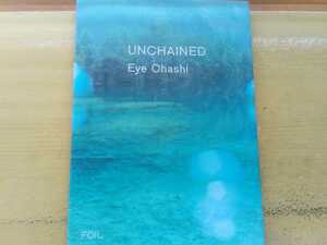 即決 大橋愛 EYE 写真集 UNCHAINED(FOIL/2008) 初版 ハードカバー本 フォイル ギャラリー/機材 ハッセルブラッド