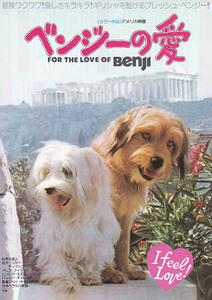 映画チラシ「ベンジーの愛」(1977)
