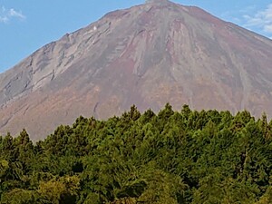 富士山ローソク 