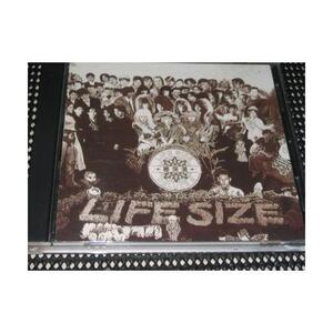 春爛漫 ＬＩＦＥ ＳＩＺＥ ＤＥＬＵＸＥ ２