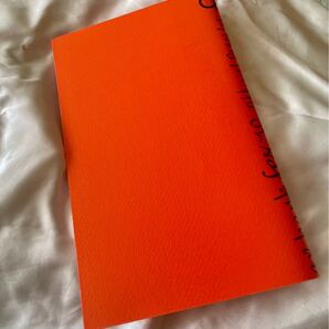 ap bank fes 2010 パンフレット