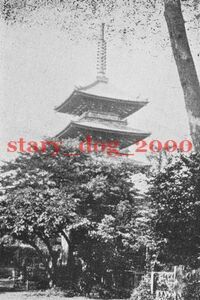 複製復刻 絵葉書/古写真 東京谷中 天王寺五重塔 明治40年 TS_256