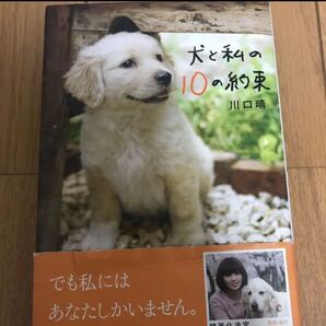犬と私の10の約束 川口晴