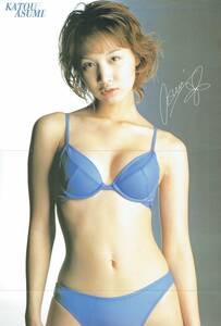  файл дополнение Kato Asumi двусторонний булавка nap постер 2001 год 
