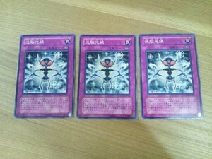 遊戯王◆セ 洗脳光線　３枚 ※角スレ有