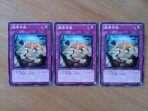 遊戯王◆ト 闘争本能 　３枚(ノーマル)