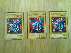 遊戯王○ト 砦を守る翼竜　３枚（ノーマル）