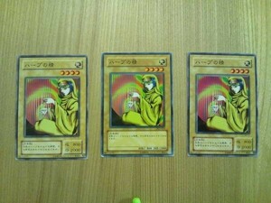 遊戯王○ハ ハープの精　３枚（ノーマル）