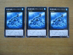 遊戯王◎チ 超量機獣グランパルス ３枚