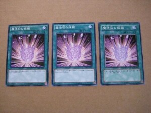 遊戯王★マ 魔法石の採掘 ３枚⑤角ふちスレ有