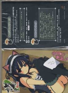 閃乱カグラ Burst 特典CDブック即決