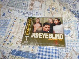 Third Eye Blind(サード・アイ・ブラインド)　CD　Losing A Whole Year