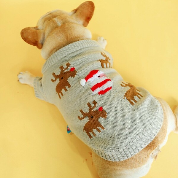 4PETS 犬服 クリスマス セーター 洋服 ドッグウェア Mサイズ