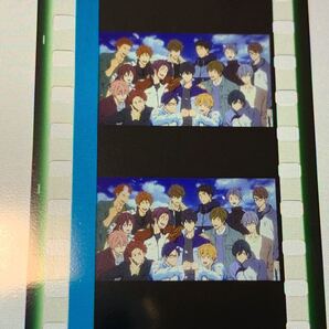 Free! FS 後編 入場特典 コマフィルム 6週 7週目 遙 真琴 凛 郁弥