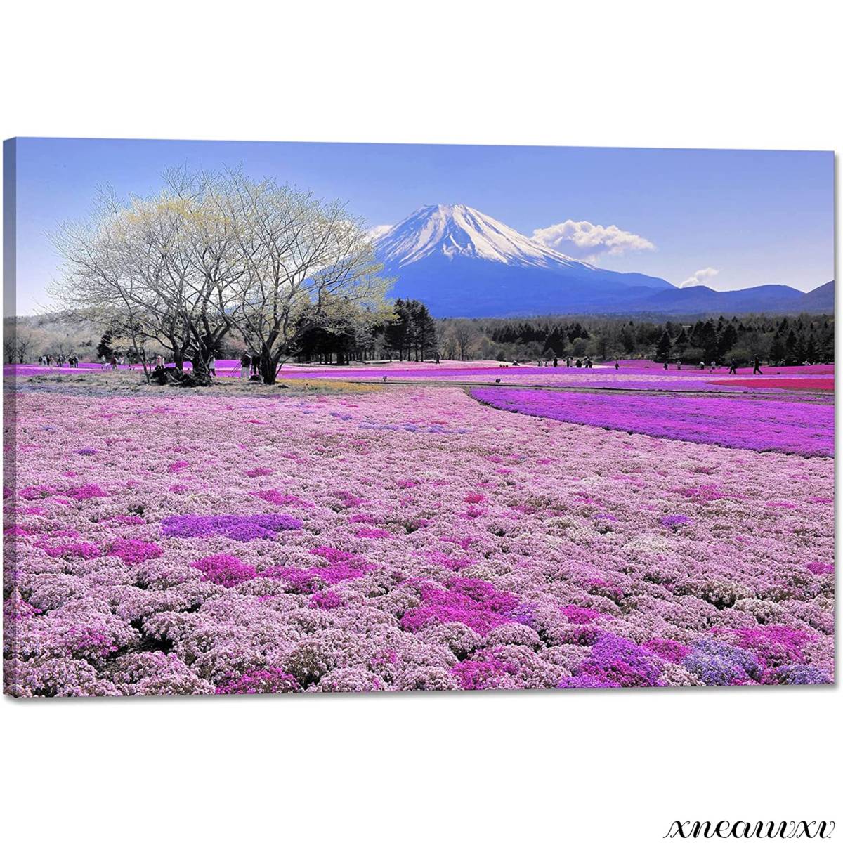 Mt. Fuji and Flower Field Art Panel Interior Wall Hanging Easy Installation Room Decoration Decoration Wooden Frame Canvas Painting Stylish Art Appreciation Interior Living Room Mountain, Artwork, Painting, graphic
