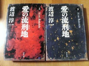 G〇　愛の流刑地　上・下　渡辺淳一　幻冬舎