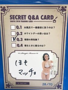 トレーディングカード HIT'S【紗綾 シークレットQ&Aカード (28/70)】