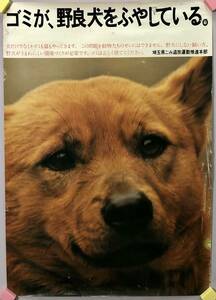 「ゴミが、野良犬をふやしている。」ポスター（埼玉県ごみ追放推進本部/昭和40年代?/レトロ/JUNK）