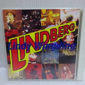ほぼ未使用 リンドバーグ LINDBERG Lindy Wingding CD