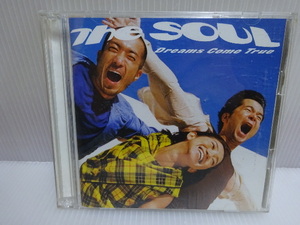 美品の方 ドリームカムトゥルー THE SOUL 2枚組 CD