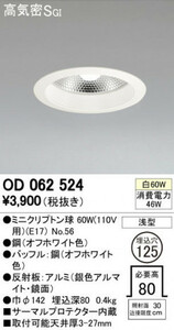 未使用品 ODELIC オーデリック ダウンライト OD062 524 照明
