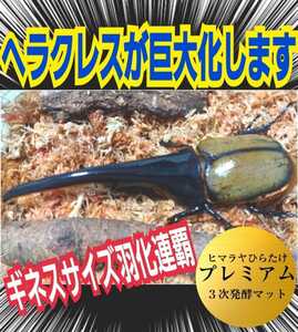 ヘラクレスがビッグに！進化した！プレミアム3次発酵カブトムシマット☆特殊アミノ酸3倍配合！トレハロース、ローヤルゼリー強化！微粒子