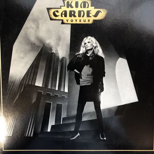 キム・カーンズ Kim Carnes Voyeur 愛と幻の世界MTV大ヒット LP レコード 5点以上落札で送料無料O