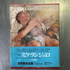 a1154 集英社 世界美術全集 Vingtans ヴァンタン 愛蔵普及版 6 ミケランジェロ MICHELANGELO