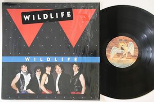 米LP Wildlife Wildlife 900781 Swan Song /00260