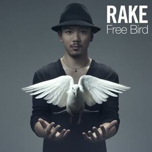 2discs CD Rake Free Bird(初回生産限定盤)(DVD付) 未開封 /00220