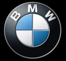 鍛造 ボルト付 30mm ホイール スペーサー BMW X5 シリーズ E53 ロングボルト不要 3.0i 4.4i 4.6is 4.8is クロスオーバー SUV_画像2