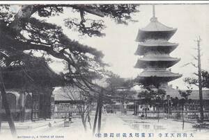 戦前絵葉書　大阪　天王寺　五重塔（戦災焼失）