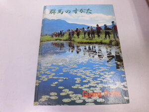 ●K293●群馬のすがた●上毛新聞社●群馬県紹介自然歴史祭り行事温泉尾瀬水源伝統工芸産業交通地図県歴史県歌●即決