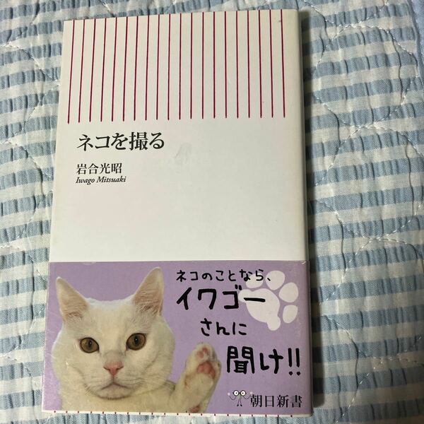 ネコを撮る （朝日新書　０３３） 岩合光昭／著