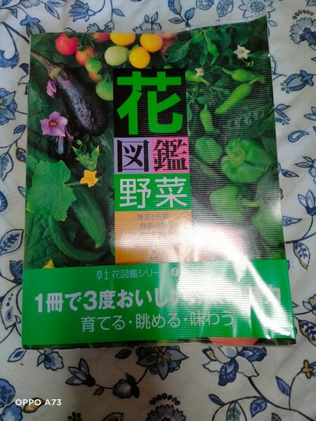 花図鑑野菜 For those who love vegetables (草土花図鑑シリーズ 4) 芦沢正和/監修 内田正宏/監修