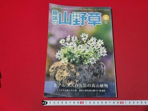 n★　趣味の山野草　2017年6月号　北アルプス白馬岳の高山植物　など　栃の葉書房　/A26