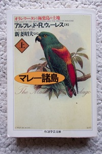 マレー諸島 オランウータンと極楽鳥の土地 上 (ちくま学芸文庫) アルフレッド・R. ウォーレス、新妻昭夫訳☆