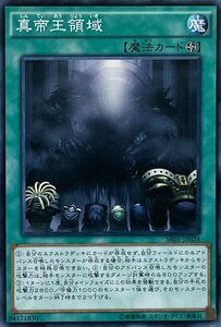 遊戯王 ノーマル 魔法 1枚 真帝王領域 SR01