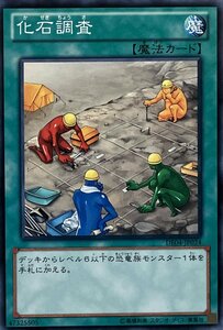 遊戯王 ノーマル 魔法 1枚 化石調査 DE04