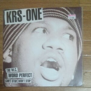 KRS-ONE WORLD PERFECT LP