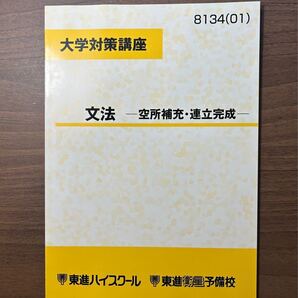 大学対策講座　文法　空所補充・連立完成　東進ハイスクール