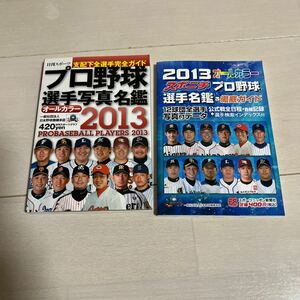 プロ野球選手 選手名鑑 オールカラー 日刊スポーツ　スポニチ　12球団　2013