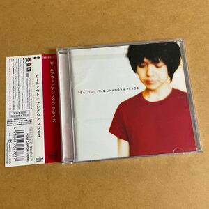 PEALOUT/THE UNKNOWN PLACE 帯付 ピールアウト/アンノウン プレイス 近藤智洋(GHEEE) 岡崎善郎(BEYONDS) 高橋浩司(REVERSLOW) ビヨンズ