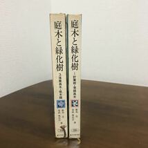 古書 2冊 セット●庭木と緑化樹１ 針葉樹・常緑高木 / ２ 落葉高木・低木類 / 飯島 亮 /誠文堂新光社/経年劣化あり●Ａ949_画像1