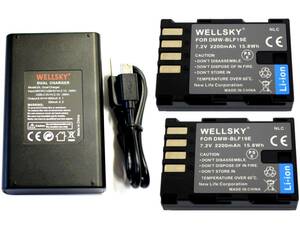  new goods Panasonic DMW-BLF19 interchangeable battery 2 piece & [ dual ] USB sudden speed interchangeable charger battery charger DMW-BTC10 DMW-BTC13 1 piece 