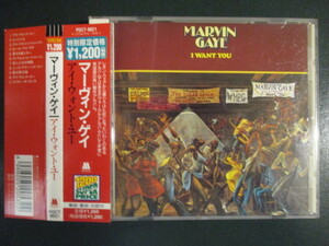 ◆ CD ◇ Marvin Gaye ： I Want You (( Soul )) (( 日本語訳詞付き