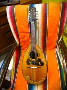 * Suzuki violin /SUZUKI/ Suzuki / mandolin /No.228/1965/ hard case 