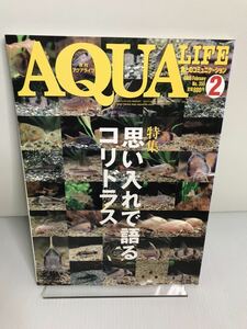 月刊アクアライフ　AQUA LIFE 2009年　2月号　No.355 思い入れで語るコリドラス　原種エンゼルフィッシュ　ニシキゴイ　飼育