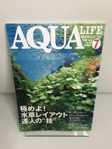 月刊アクアライフNO.348 2008年7月号　水草レイアウト 地金 シクラソマ ロンボオケラートゥス ダンゴウオ タナゴ 変わりメダカ